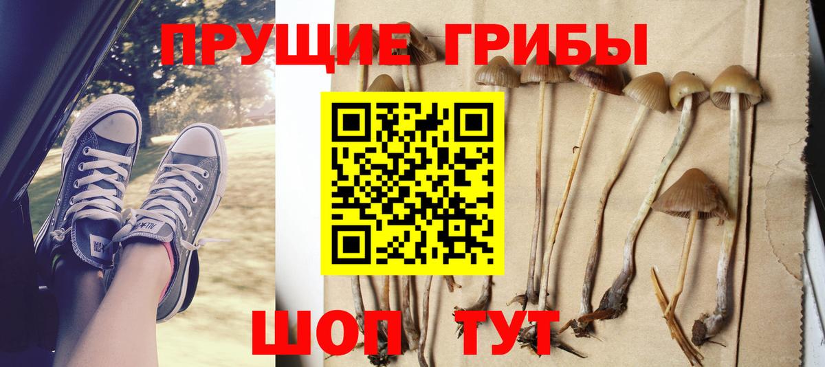 Геленджик  Псилоцибиновые грибы Magic Shrooms  Вход с VPN 